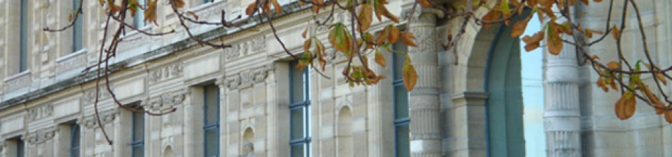 L'association de l’École du Louvre en bref